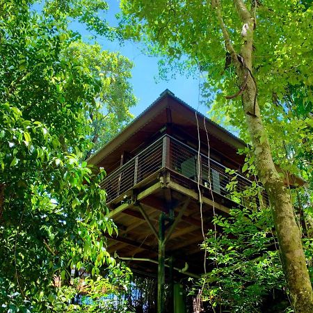 Cairns Rainforest Retreat מראה חיצוני תמונה