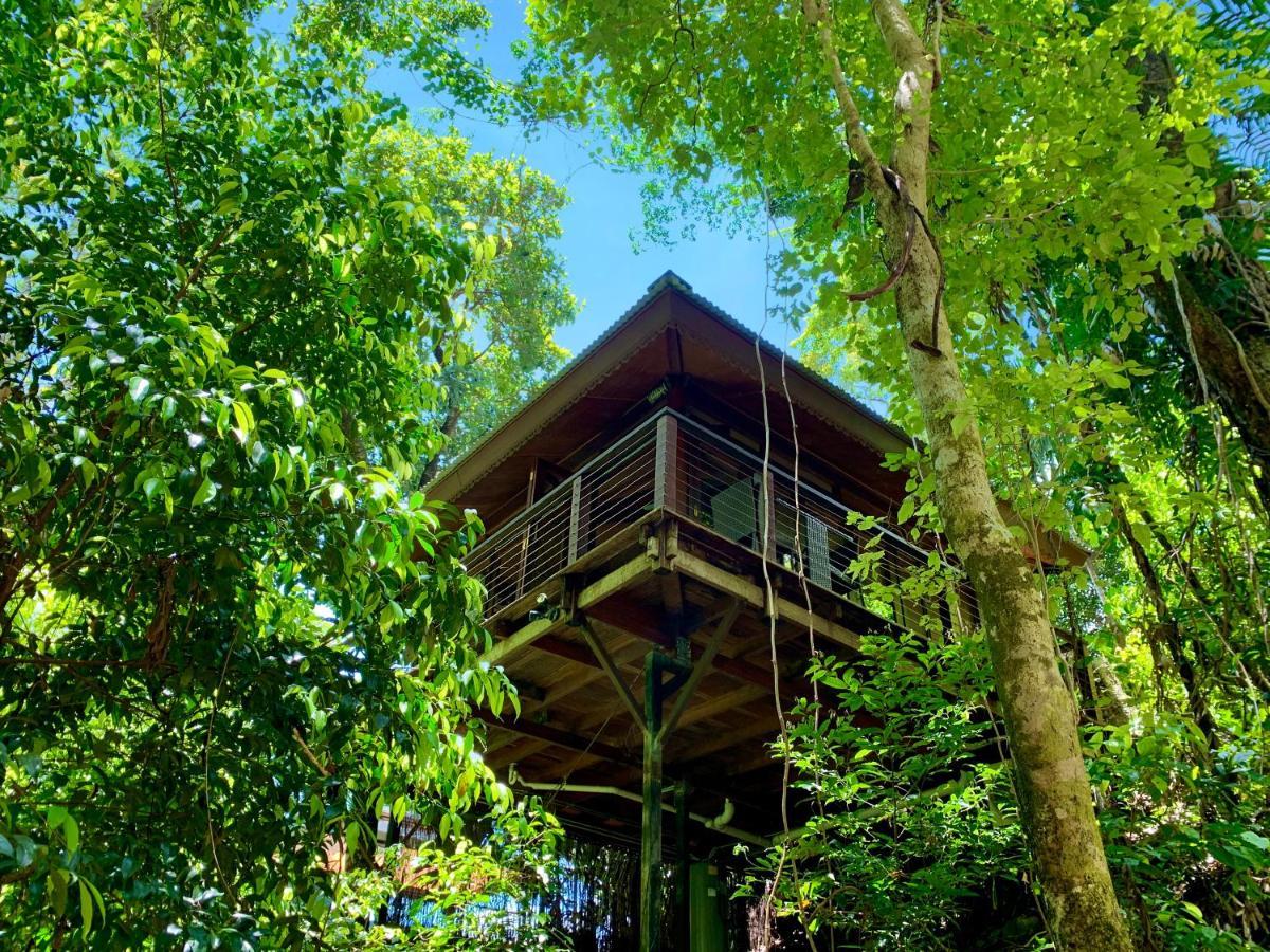 Cairns Rainforest Retreat מראה חיצוני תמונה