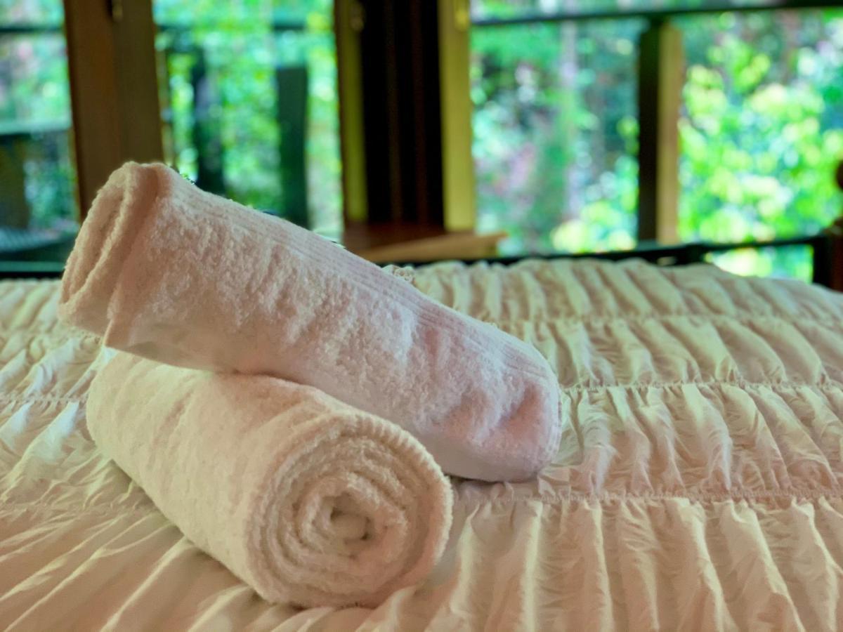 Cairns Rainforest Retreat מראה חיצוני תמונה