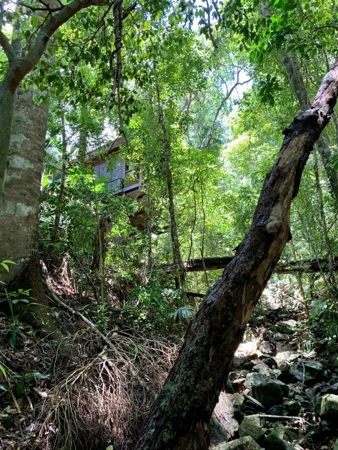 Cairns Rainforest Retreat מראה חיצוני תמונה