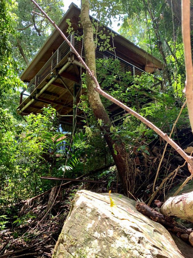 Cairns Rainforest Retreat מראה חיצוני תמונה