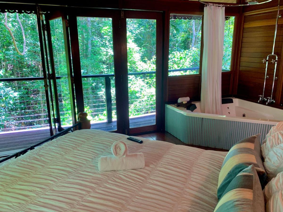 Cairns Rainforest Retreat מראה חיצוני תמונה