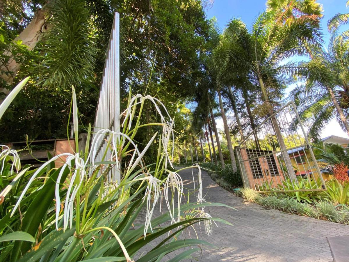 Cairns Rainforest Retreat מראה חיצוני תמונה